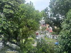 Lorong Ong Lye (D19), Terrace #453571111
